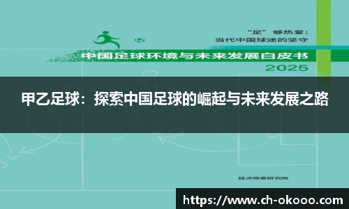 甲乙足球：探索中国足球的崛起与未来发展之路